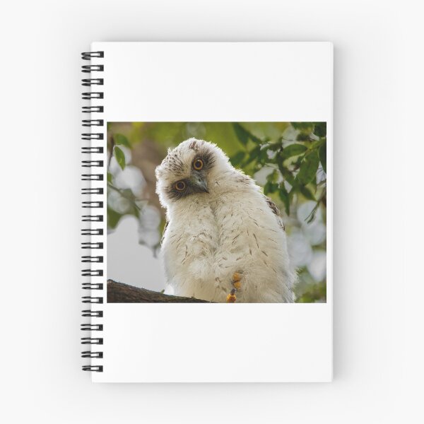 Item preview, Juvenile Powerful Owl designed and sold by ybeesa-art.