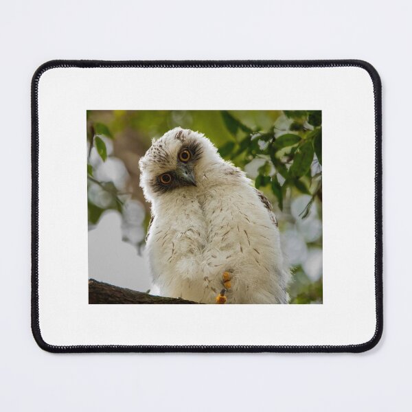 Item preview, Juvenile Powerful Owl designed and sold by ybeesa-art.