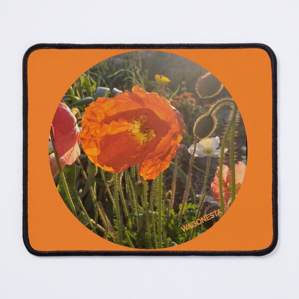 Item preview, Floral Orange Icelandic Poppies by Wagonesta designed and sold by Wagonesta.
