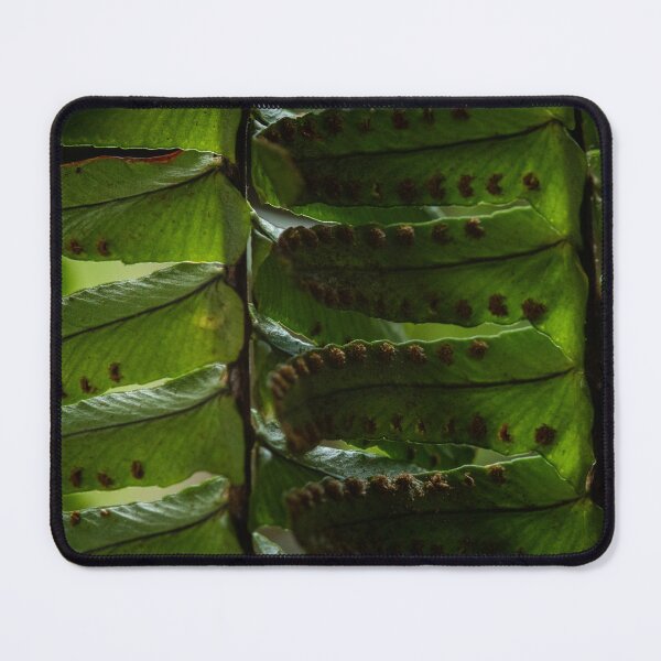 Item preview, Ferns Revisited no.1 designed and sold by Geoff Treagus.