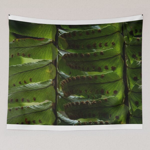 Item preview, Ferns Revisited no.1 designed and sold by Geoff Treagus.