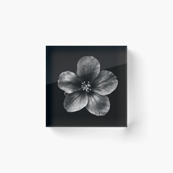 Item preview, Black and White Butterwort Flower v3 designed and sold by PiranhaEatFashion.