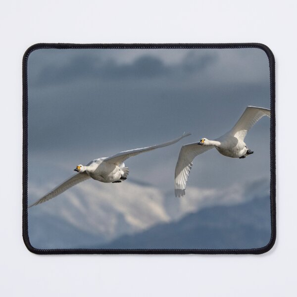 Item preview, Somewhere to Go designed and sold by RussJenkins.