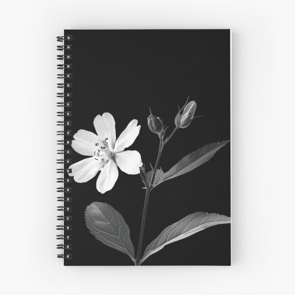 Item preview, Black and White Campion Flower v4 designed and sold by PiranhaEatFashion.