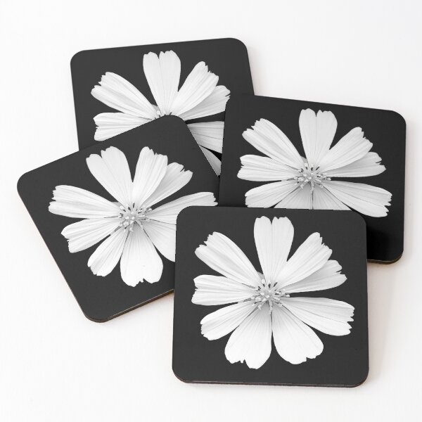 Artikelvorschau, Schwarz-weiße Chicorée-Blume v4 entworfen und verkauft von PiranhaEatFashion.