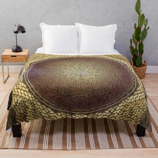 Item preview, Gilded dome of the Alcazar Palace, Seville designed and sold by ricoflinn.