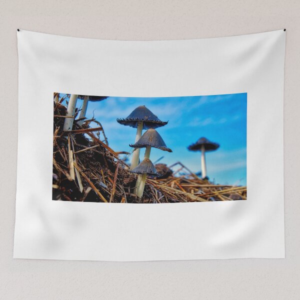 Item preview, Mushroom Morning on St Joseph Island designed and sold by colorfulbundles.