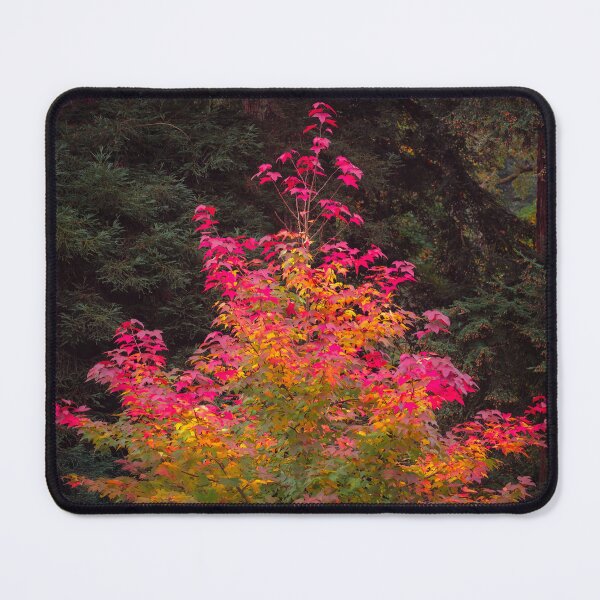 Item preview, Fire Tree designed and sold by David Bowman.