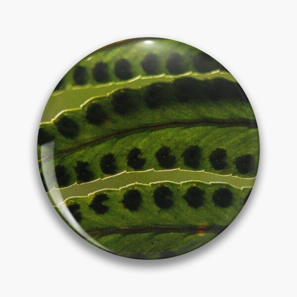 Item preview, Ferns Revisited no.2 designed and sold by Geoff Treagus.