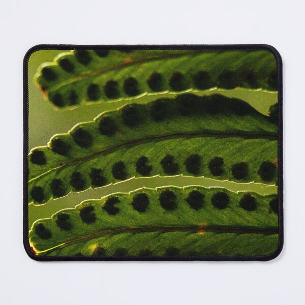 Item preview, Ferns Revisited no.2 designed and sold by Geoff Treagus.