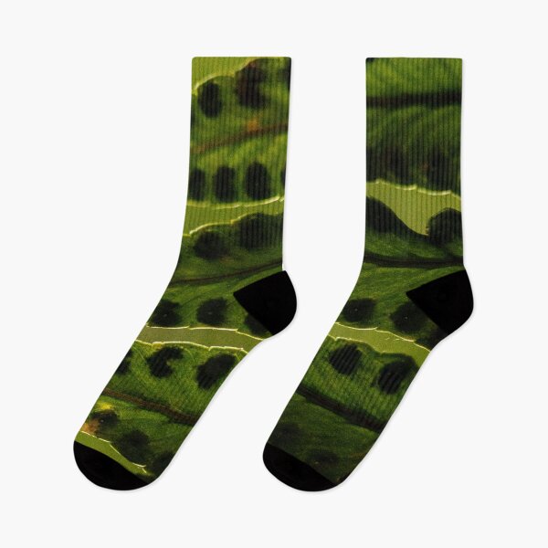Item preview, Ferns Revisited no.2 designed and sold by Geoff Treagus.