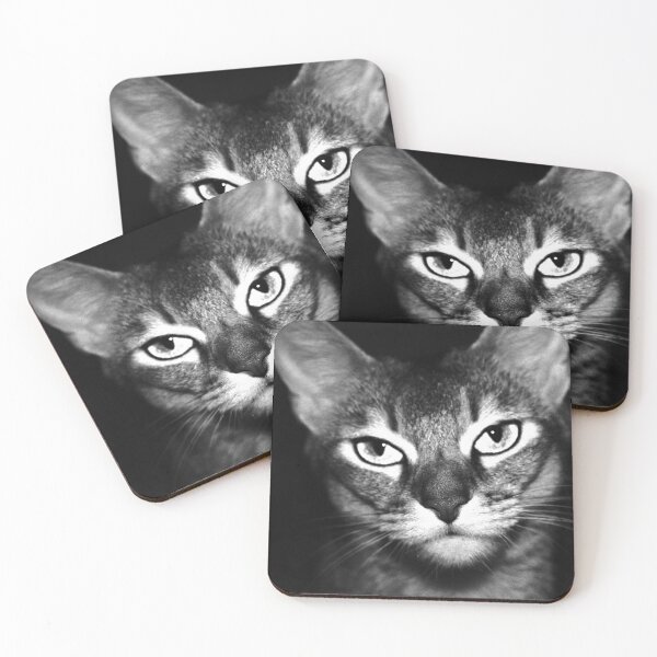 Item preview, beloved Chausie cat designed and sold by Kacharava.