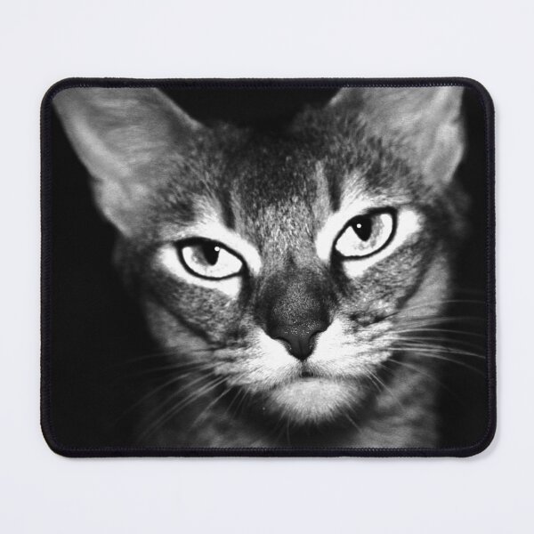 Item preview, beloved Chausie cat designed and sold by Kacharava.