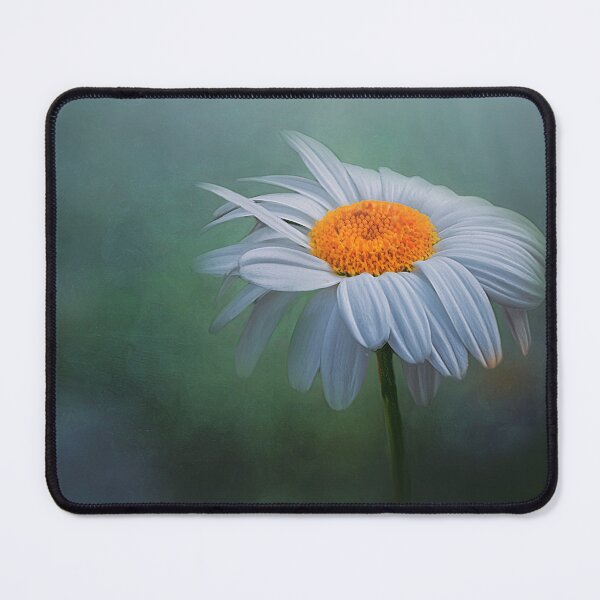 Item preview, Nice marguerite  designed and sold by Shury Vision Art.