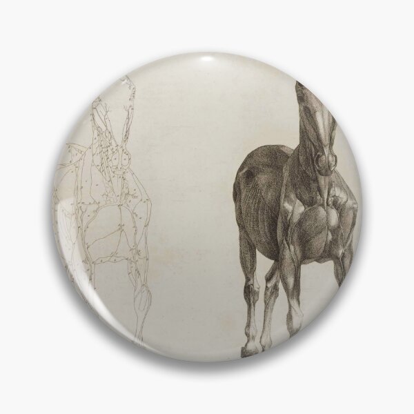 Item preview, STUBBS, George (1724-1806). The Anatomy of the Horse. London: J. Purser for the author, 1766. designed and sold by Vintage Designs +.