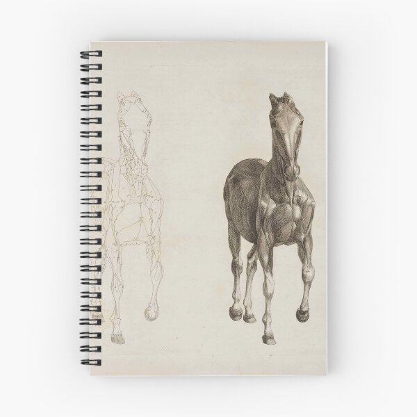 Item preview, STUBBS, George (1724-1806). The Anatomy of the Horse. London: J. Purser for the author, 1766. designed and sold by Vintage Designs +.