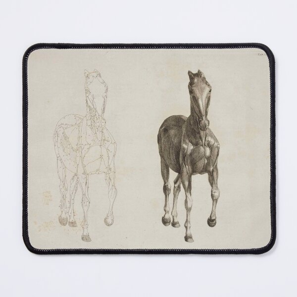 Item preview, STUBBS, George (1724-1806). The Anatomy of the Horse. London: J. Purser for the author, 1766. designed and sold by Vintage Designs +.