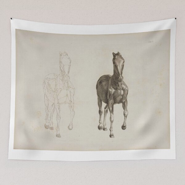 Item preview, STUBBS, George (1724-1806). The Anatomy of the Horse. London: J. Purser for the author, 1766. designed and sold by Vintage Designs +.