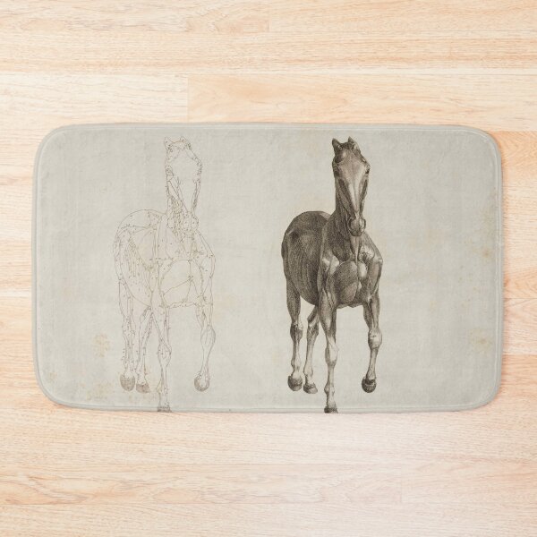 Item preview, STUBBS, George (1724-1806). The Anatomy of the Horse. London: J. Purser for the author, 1766. designed and sold by Vintage Designs +.