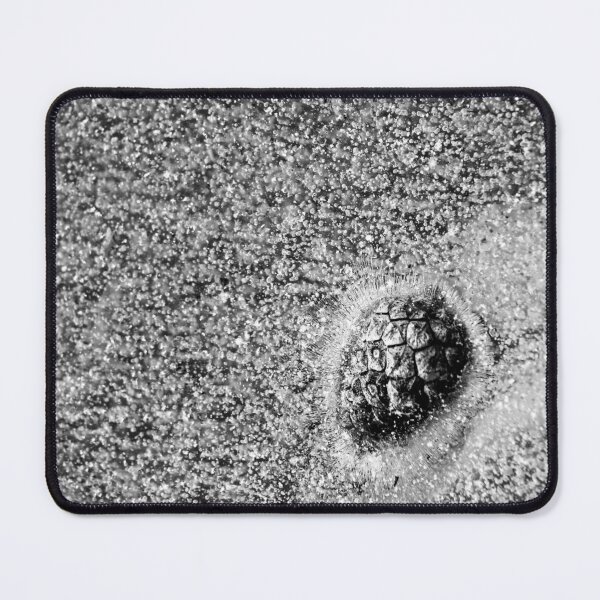 Item preview, 21.1.2025: Frozen Pine Cone designed and sold by Petri Volanen.