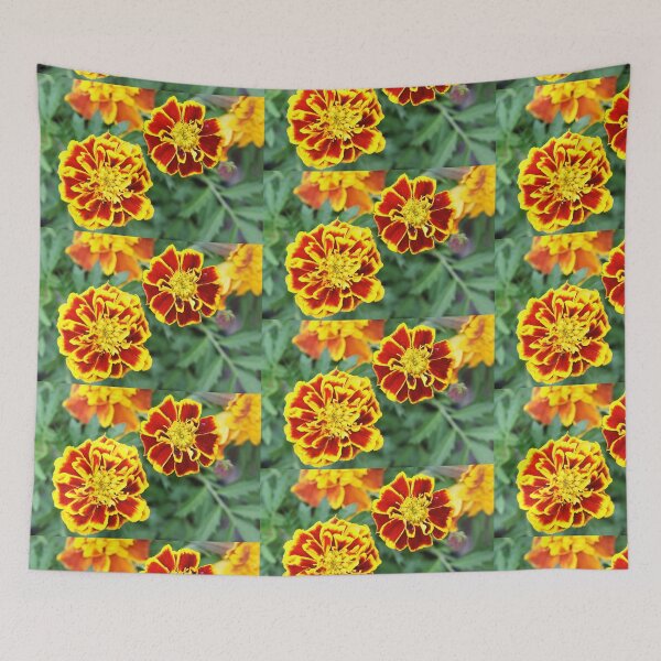 Item preview, Calendula designed and sold by manoloshoping.