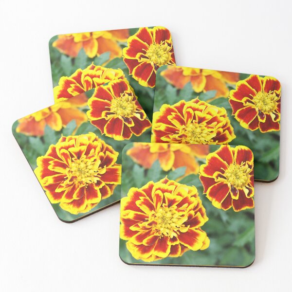 Item preview, Calendula designed and sold by manoloshoping.