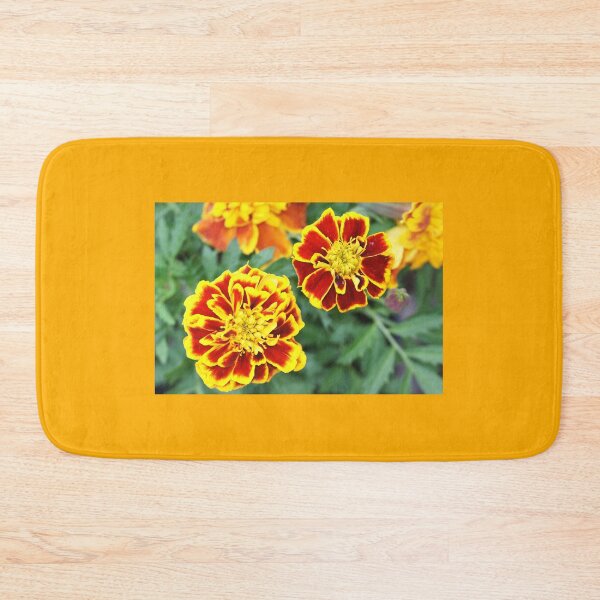 Item preview, Calendula designed and sold by manoloshoping.