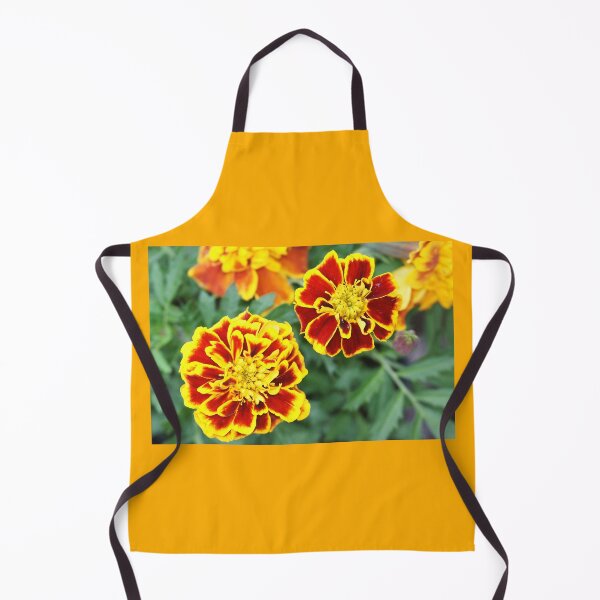 Item preview, Calendula designed and sold by manoloshoping.