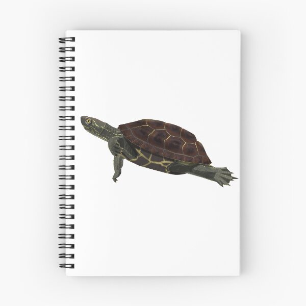 Item preview, Reeve's Turtle designed and sold by Rie-TortoTurtle.