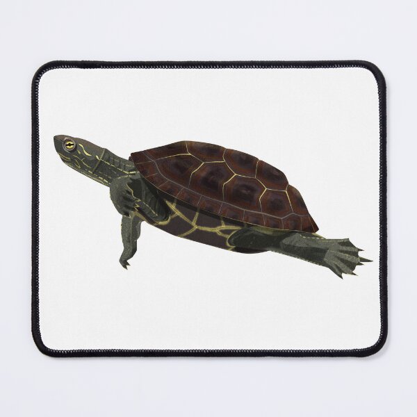 Item preview, Reeve's Turtle designed and sold by Rie-TortoTurtle.