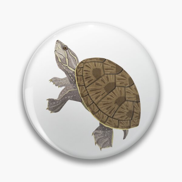 Item preview, Common Musk Turtle designed and sold by Rie-TortoTurtle.