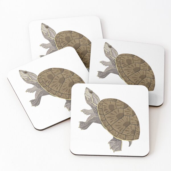 Item preview, Common Musk Turtle designed and sold by Rie-TortoTurtle.