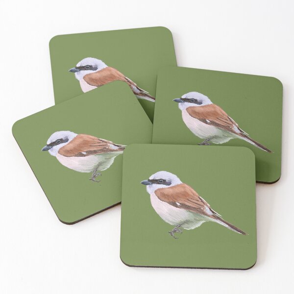 Item preview, Red Backed Shrike (Green) designed and sold by okaymoose.