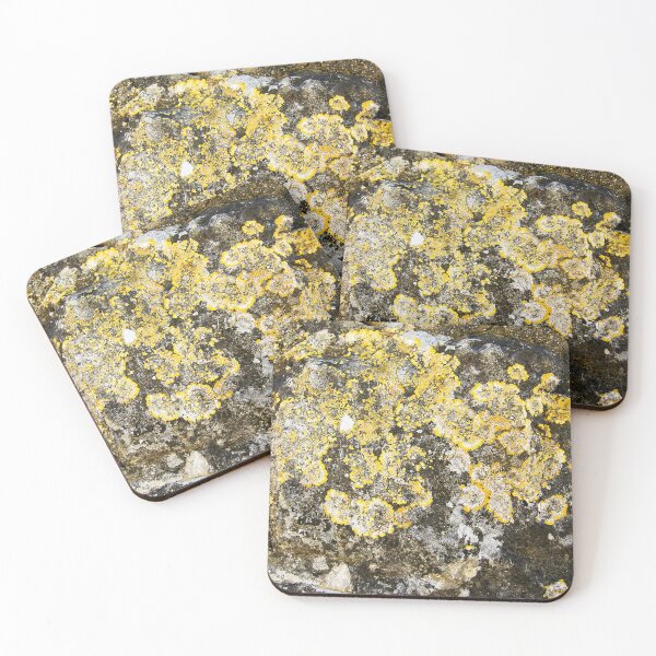 Item preview, Lichens designed and sold by manoloshoping.