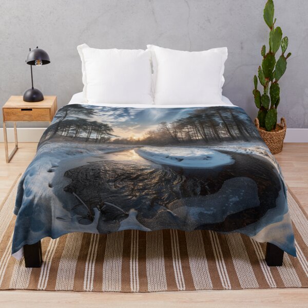 Item preview, Frozen Forest Stream designed and sold by EndOfRainbowArt.