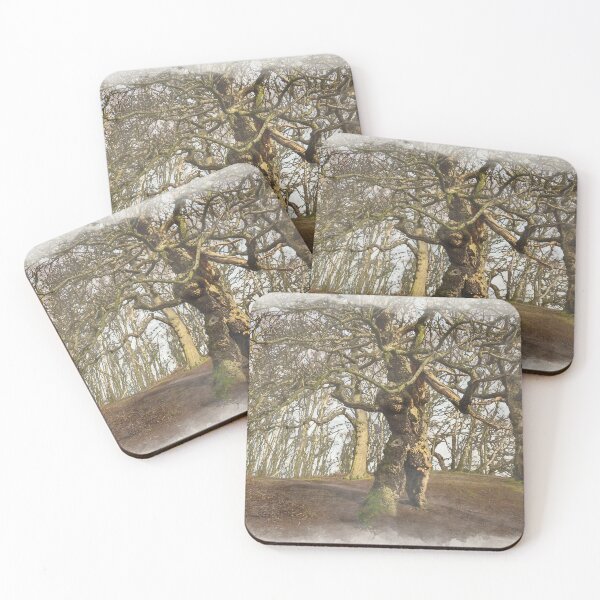 Item preview, Groot, the ancient oak human tree, Cannock Chase. designed and sold by RobThorley.