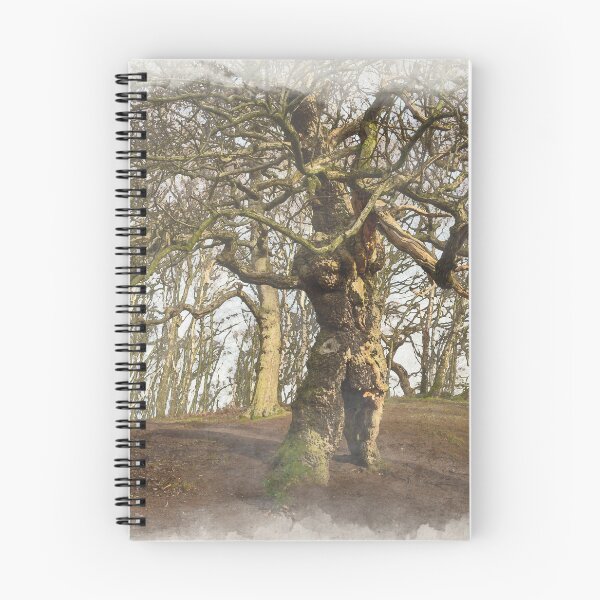Item preview, Groot, the ancient oak human tree, Cannock Chase. designed and sold by RobThorley.