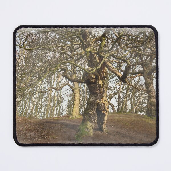 Item preview, Groot, the ancient oak human tree, Cannock Chase. designed and sold by RobThorley.