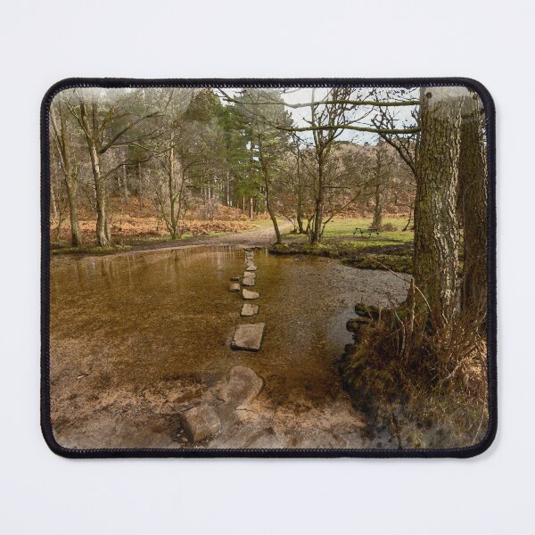 Item preview, Stepping stones at Sherbrook valley, Cannock Chase, Staffordshire. designed and sold by RobThorley.