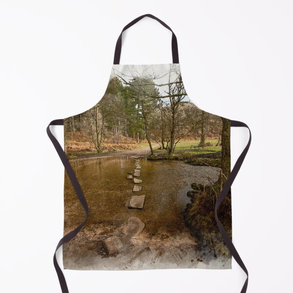 Item preview, Stepping stones at Sherbrook valley, Cannock Chase, Staffordshire. designed and sold by RobThorley.