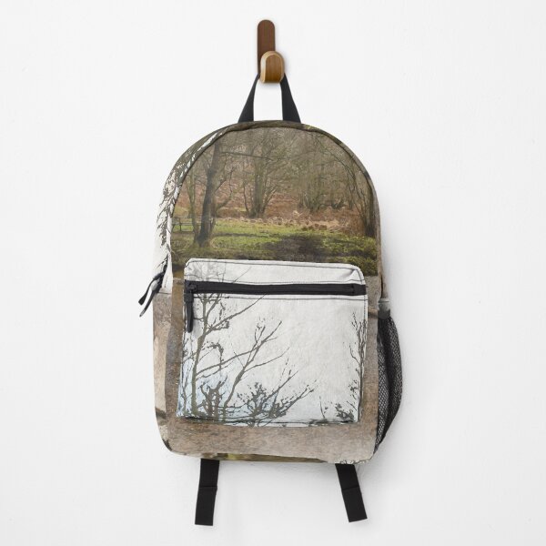 Item preview, Stepping stones at Sherbrook valley, Cannock Chase, Staffordshire. designed and sold by RobThorley.