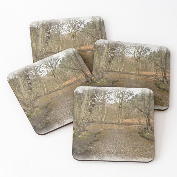 Item preview, Stepping stones at Sherbrook valley, Cannock Chase, Staffordshire. designed and sold by RobThorley.
