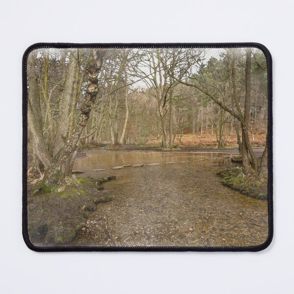 Item preview, Stepping stones at Sherbrook valley, Cannock Chase, Staffordshire. designed and sold by RobThorley.