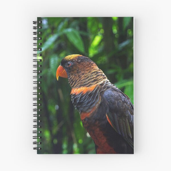 Item preview, Macaw designed and sold by likbatonboot.