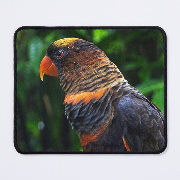 Item preview, Macaw designed and sold by likbatonboot.