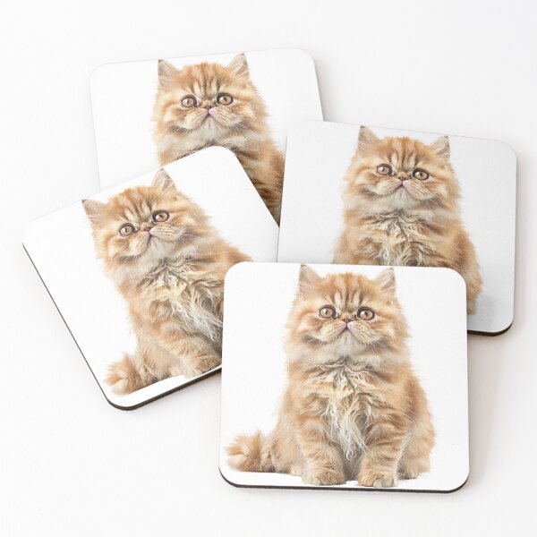 Item preview, Golden Persian kittens curious gaze designed and sold by MiraCleAI.