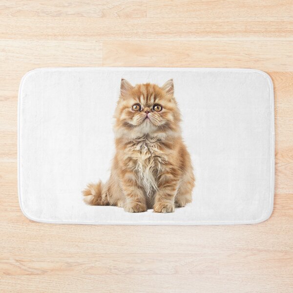 Item preview, Golden Persian kittens curious gaze designed and sold by MiraCleAI.