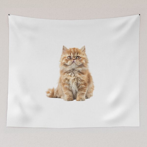 Item preview, Golden Persian kittens curious gaze designed and sold by MiraCleAI.
