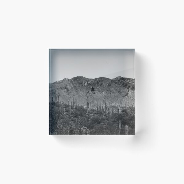 Item preview, This stunning photo captures the beauty of the Tucson desert designed and sold by EyezWatchin.