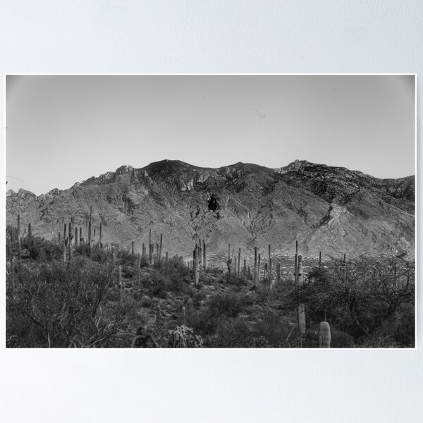Item preview, This stunning photo captures the beauty of the Tucson desert designed and sold by EyezWatchin.
